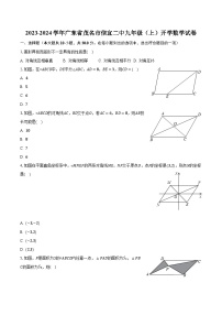 2023-2024学年广东省茂名市信宜二中九年级（上）开学数学试卷（含解析）