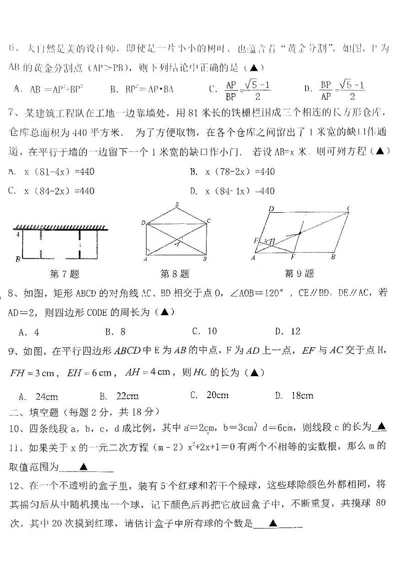 辽宁省丹东市第十九中学2023-2024学年九年级上学期期中考试数学试题第2页