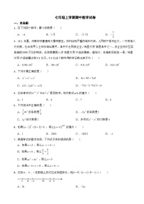 安徽省六安市2023年七年级上学期期中数学试卷（附答案）