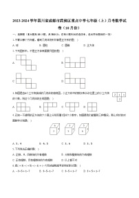 2023-2024学年四川省成都市武侯区重点中学七年级（上）月考数学试卷（10月份）（含解析）