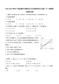 2022-2023学年广东省惠州市惠阳区白石实验学校七年级（下）寒假收心数学试卷（含解析）