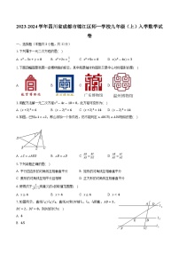 2023-2024学年四川省成都市锦江区师一学校九年级（上）入学数学试卷（含解析）