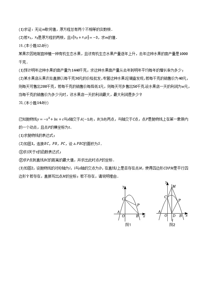 2023-2024学年广东省珠海市香洲区文园中学九年级（上）月考数学试卷（10月份）（含解析）03