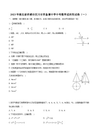 2023年湖北省孝感市汉川市官备塘中学中考数学适应性试卷（一）（含解析）