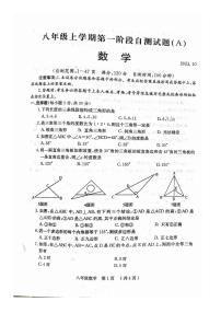 山西省吕梁市兴县红旗中学2023-2024学年上学期八年级第一次月考数学试卷