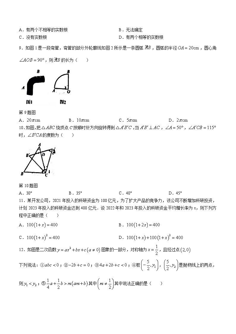 广西南宁市邕宁区民族中学2023-2024学年九年级上学期10月月考数学试题(无答案)第2页