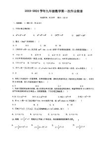 广东省惠州市惠阳区第四中学2023-2024学年九年级上学期数学10月月考卷