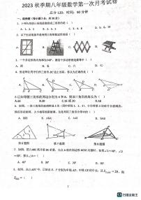 广东省雷州市2023—2024学年上学期第一次月考八年级数学试卷