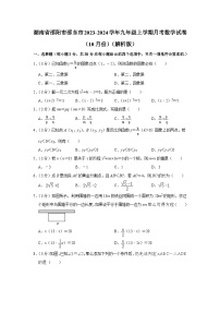 湖南省邵阳市邵东市2023-2024学年九年级上学期月考数学试卷（10月份）