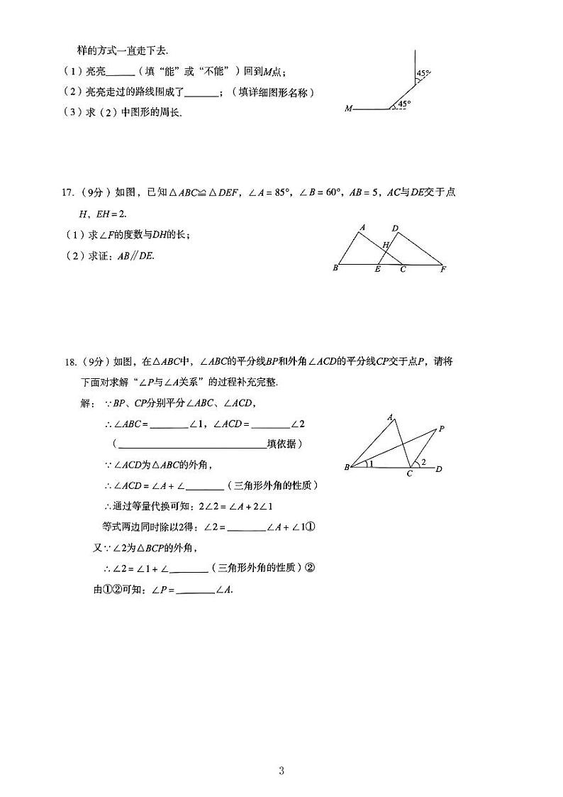 河南省驻马店市泌阳县2023-2024学年八年级上学期10月月考数学试题第3页