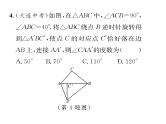 北师大版八年级数学下第三章图形的平移与旋转２图形的旋转　第１课时　旋转的概念及性质课时训练课件PPT
