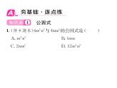 北师大版八年级数学下第四章因式分解２提公因式法　第１课时　公因式为单项式的因式分解课时训练课件PPT