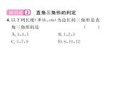 北师大版八年级数学下第一章三角形的证明２直角三角形　第１课时　直角三角形的性质与判定课时训练课件PPT