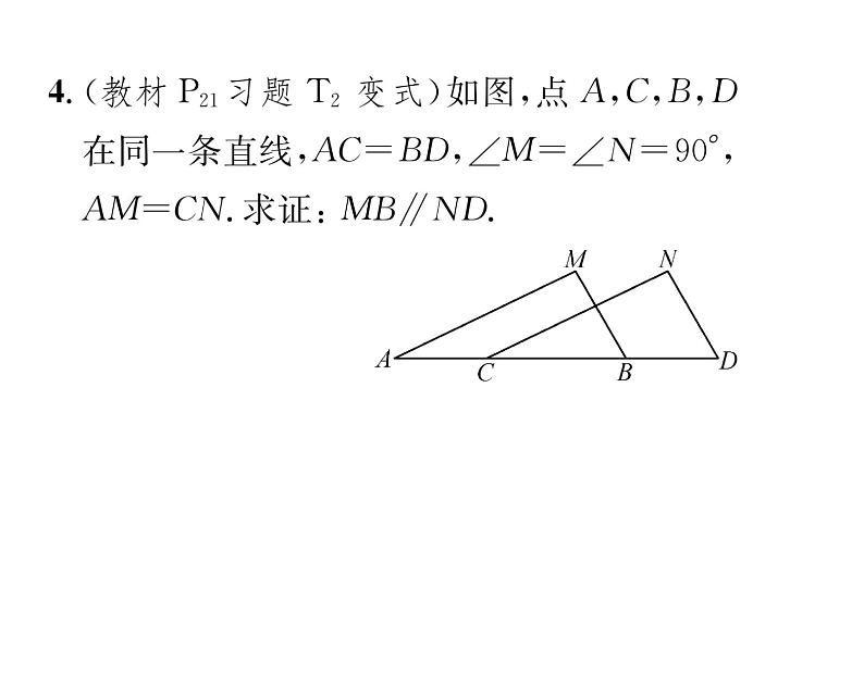 北师大版八年级数学下第一章三角形的证明２直角三角形　第２课时　直角三角形全等的判定课时训练课件PPT05