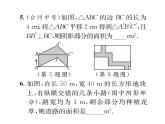 北师大版八年级数学下专题特训5图形的平移与旋转的应用课时训练课件PPT
