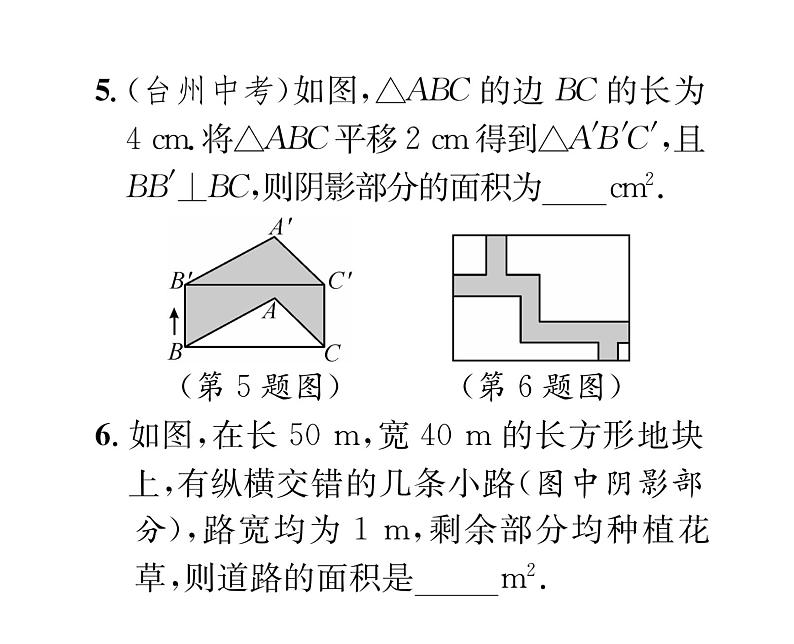 北师大版八年级数学下专题特训5图形的平移与旋转的应用课时训练课件PPT第5页