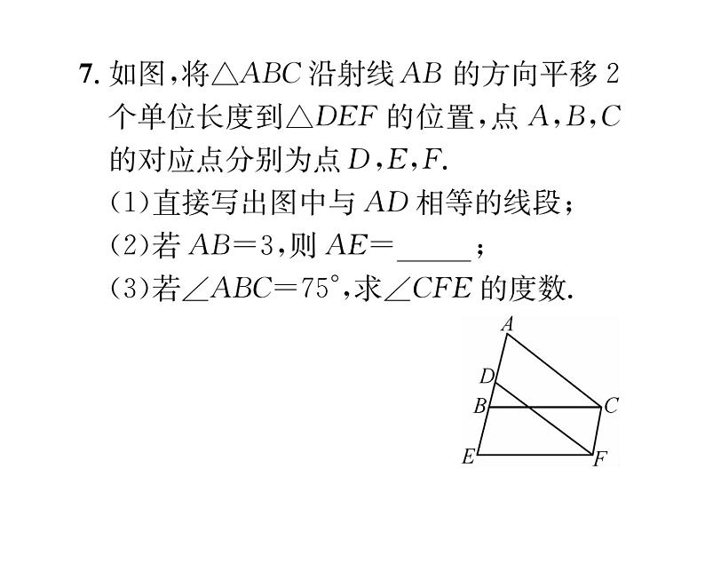 北师大版八年级数学下专题特训5图形的平移与旋转的应用课时训练课件PPT第6页