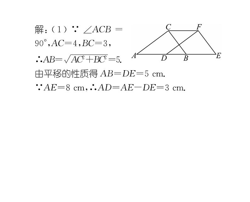 北师大版八年级数学下专题特训5图形的平移与旋转的应用课时训练课件PPT第8页