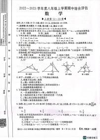 安徽省安庆市桐城市大关初级中学2022-2023学年八年级上学期数学期中测试卷