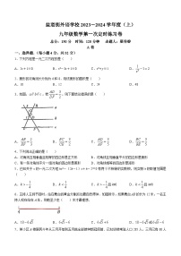 四川省成都市双流区盐道街中学外语学校2023-2024学年九年级上学期10月月考数学试题(无答案)