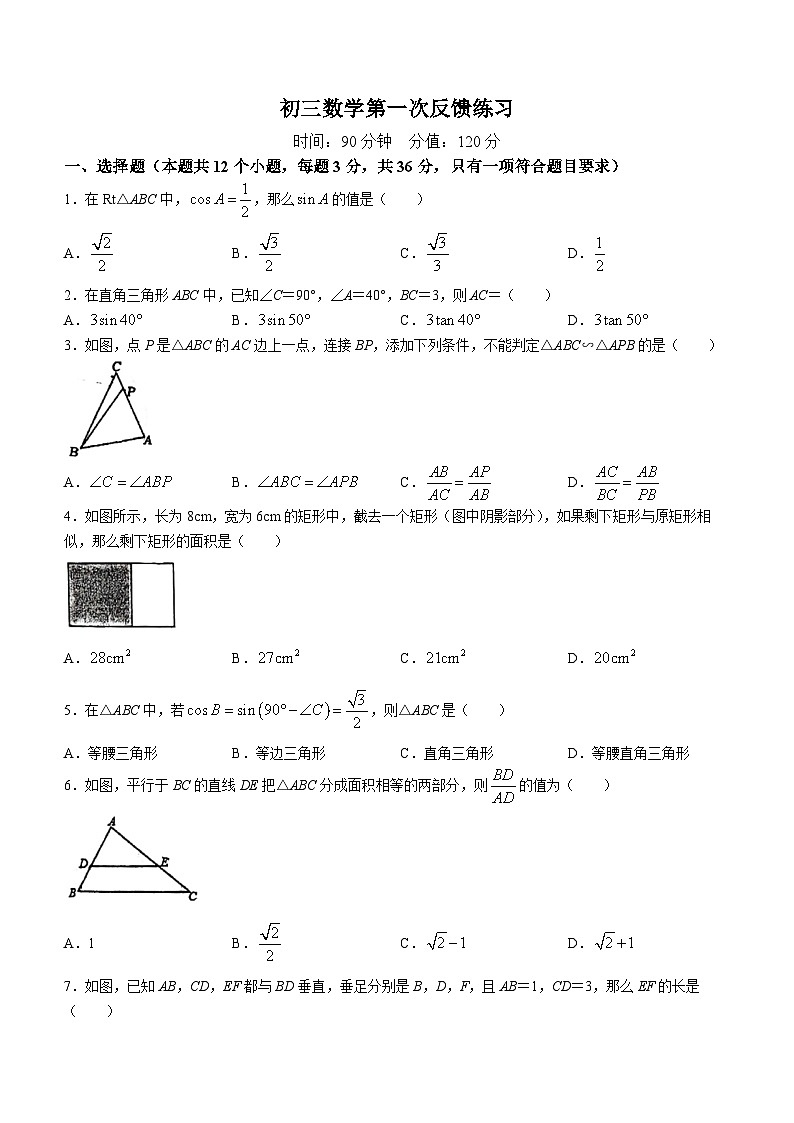 山东省聊城市文轩教育集团2023-2024学年九年级上学期10月月考数学试题(无答案)01