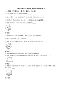 江苏省镇江中学附属初中2023-2024学年九年级上学期数学第一次月考试试题(无答案)