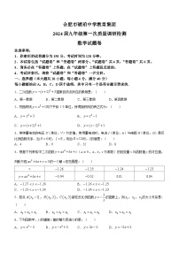 安徽省合肥市蜀山区合肥市琥珀中学2023-2024学年九年级上学期月考数学试题