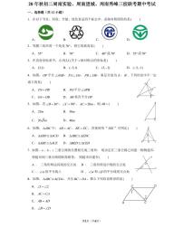 湖南省长沙市20年秋初二上册周南集团三校（实验、望城、秀峰）数学试卷（知识梳理+含答案）