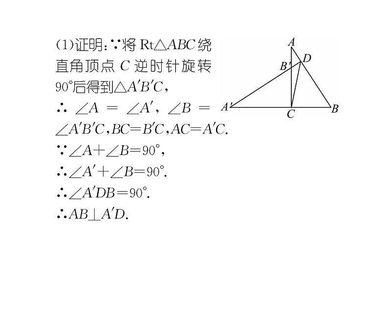 北师大版八年级数学下专题特训4巧用旋转解几何课时训练课件PPT第4页