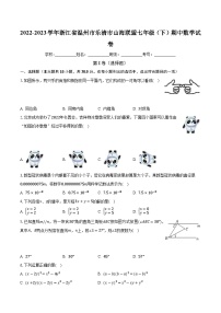 浙江省温州市乐清市山海联盟2022-2023学年七年级下学期期中数学试卷