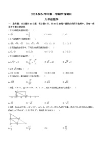 广东省佛山市南海区南海实验学校映月校区2023-2024学年八年级上学期第一次月考数学试题(无答案)