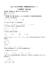 陕西省渭南市临渭区渭南市实验初级中学2023-2024学年八年级上学期第一次月考数学试题