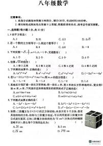 河南省周口市川汇区周口恒大中学2023-2024学年八年级上学期10月月考数学试题