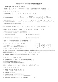 四川省眉山市东坡区苏洵初级中学2023-2024学年八年级上期期中数学质量监测试题