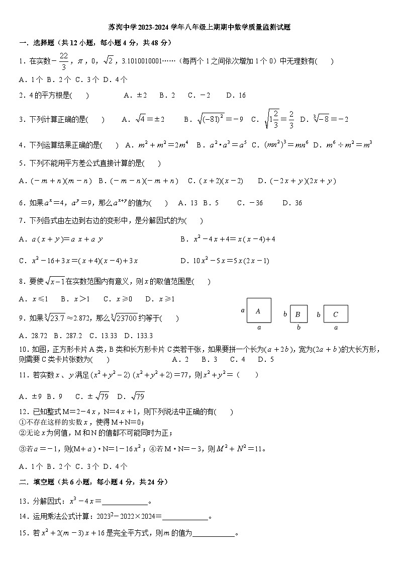 四川省眉山市东坡区苏洵初级中学2023-2024学年八年级上期期中数学质量监测试题第1页