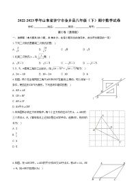 山东省济宁市金乡县2022-2023学年八年级下学期期中数学试卷