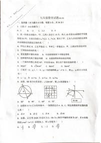 江苏省徐州市铜山区大许镇中心中学2023-2024学年九年级上学期10月月考数学试题