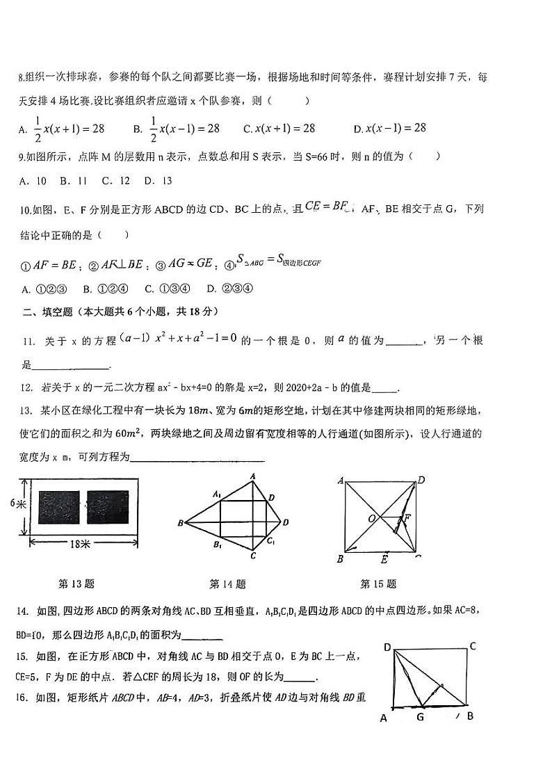山东省青岛市黄岛区育才中学2023-2024学年10月九年级上学期月考数学试卷02