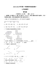 山东省菏泽市巨野县大义镇第一中学2023-2024学年七年级上学期10月月考数学试题