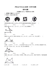 四川省泸州市泸县泸县第五中学2023-2024学年八年级上学期10月月考数学试题(无答案)