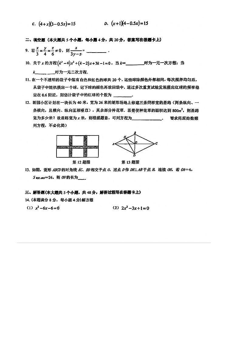 四川省成都市青羊区树德中学2023-2024学年度九年级上学期10月阶段测试数学试卷第2页