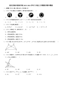 重庆实验外国语学校2023-2024学年八年级上学期数学期中模拟试卷