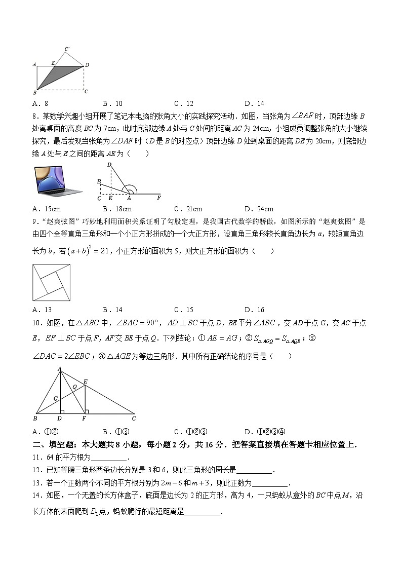 江苏省苏州市工业园区八校联考2023-2024学年八年级上学期数学10月试题(无答案)第2页