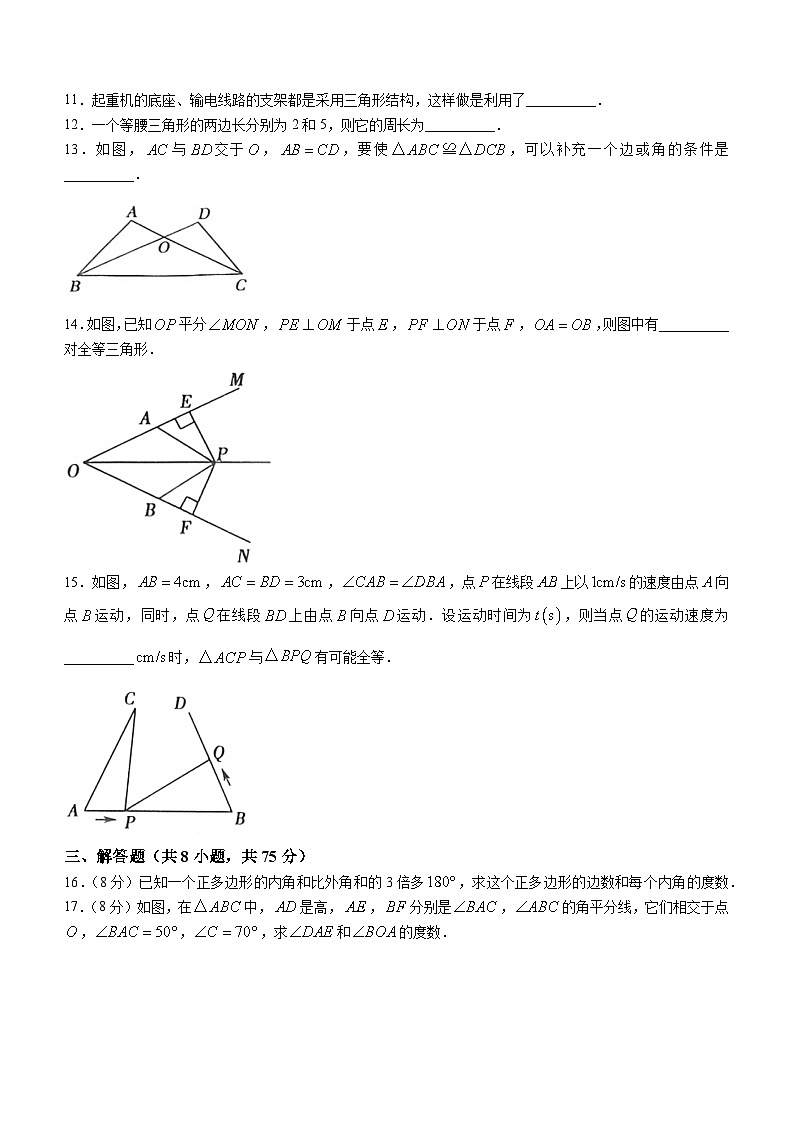 河南省安阳市林州市2023-2024学年八年级上学期10月月考数学试题03