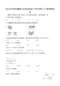 2022-2023学年安徽省六安市金安区轻工中学七年级（下）期末数学试卷（含解析)