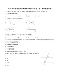 2022-2023学年贵州省黔南州长顺县七年级（下）期末数学试卷（含解析)