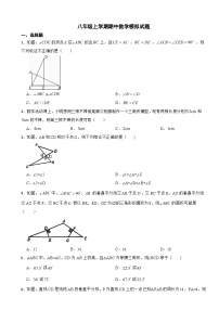 人教版2023年八年级上学期期中数学试卷（附答案）