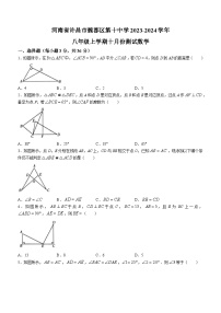 河南省许昌市魏都区许昌市第十中学2023-2024学年八年级上学期10月月考数学试题