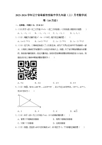 辽宁省阜新市实验中学2023-2024学年九年级上学期10月月考数学试题