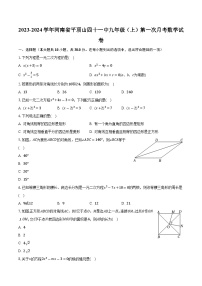 河南省平顶山市第四十一中学2023-2024学年九年级上学期第一次月考数学试卷+